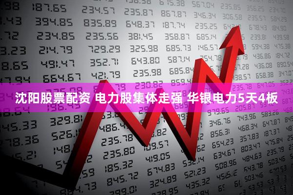 沈阳股票配资 电力股集体走强 华银电力5天4板